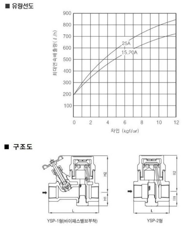 ysp-1 2.JPG