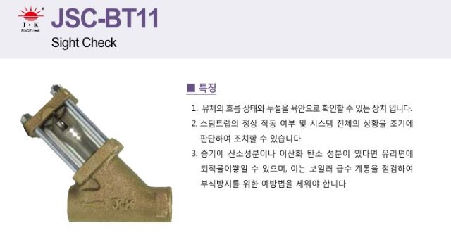 bt11 1.JPG