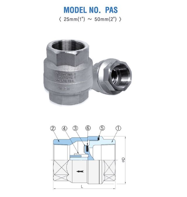pas1.JPG